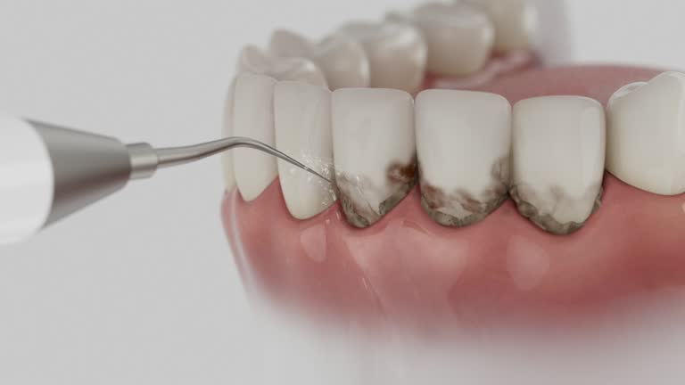 Reliable Dental contractor in Smithville-Sanders, IN by Dentist Open Now